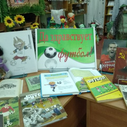 В библиотеке им. М. Шолохова состоялся интеллектуальный футбольный матч – игра «Футбол – отличная игра»