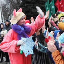 В Новочеркасске состоялось открытие городской ели