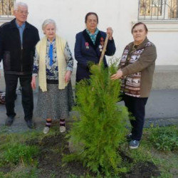 Акция "Аллея Ветеранов" прошла в микрорайоне Октябрьский