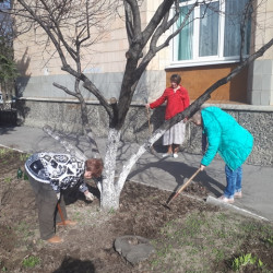 Сотрудники учреждений культуры приняли участие в городских субботниках