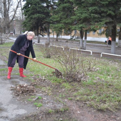 Сотрудники учреждений культуры продолжают проводить субботники на прилегающих территориях