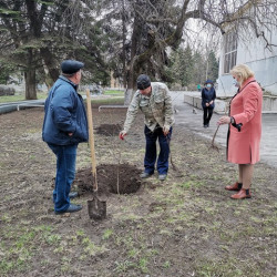 Сотрудники учреждений культуры приняли участие в Дне древонасаждения