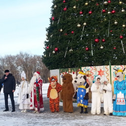 В Новочеркасске состоялось открытие главной городской ели на Соборной площади